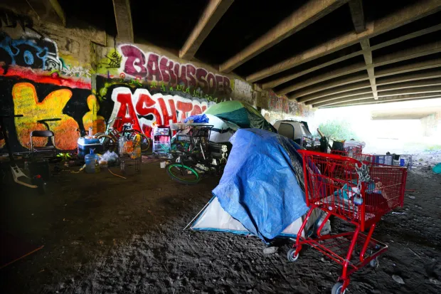 Homelessness along the San Diego River hits its highest total yet